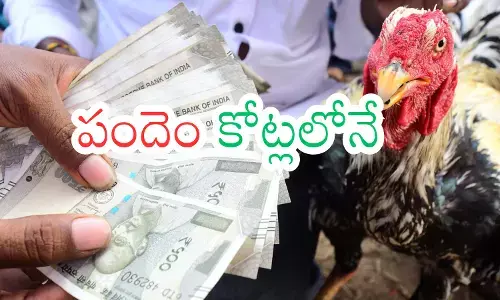 cockfighting was crore of rupees within two days of the sankranti festival