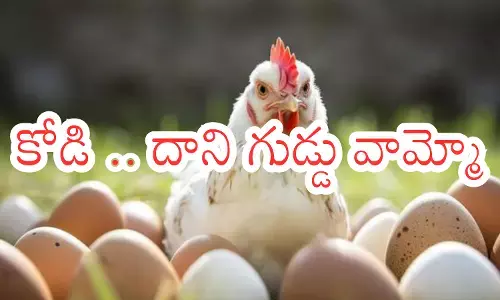 prices of chicken, mutton, and eggs are increasing day by day