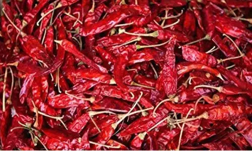 chilli prices have increased drastically in telugu states