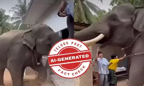 ఫ్యాక్ట్ చెక్: ఏఐ ద్వారా సృష్టించిన వీడియోను నిజంగా ఏనుగు మనిషిపై దాడి చేసిన ఘటనగా షేర్ చేస్తున్నారు