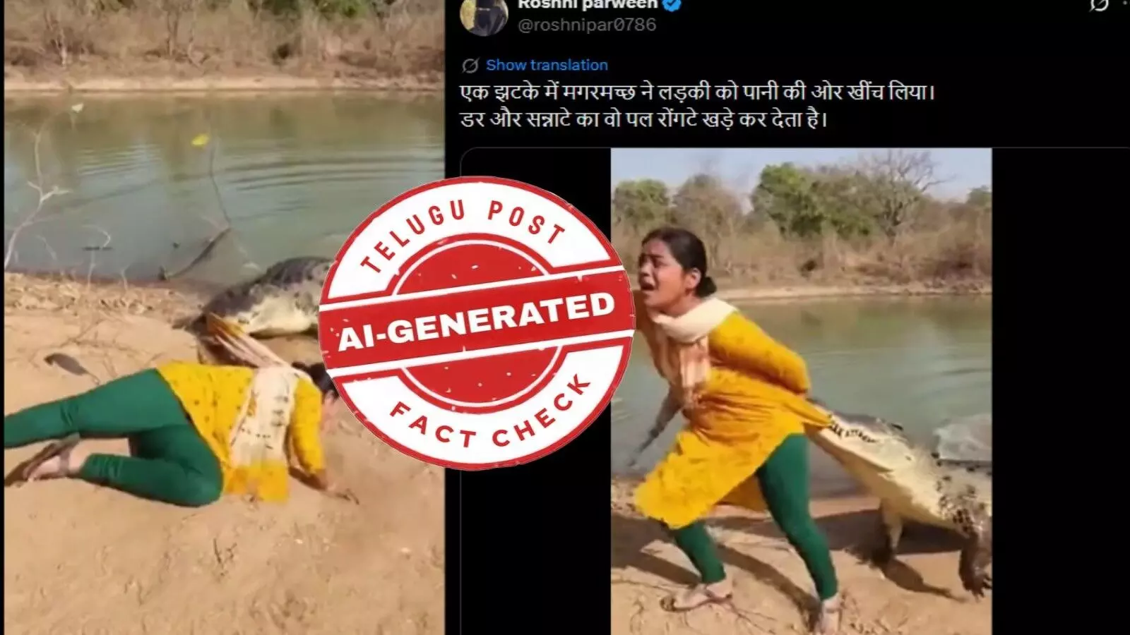 ఫ్యాక్ట్ చెక్: ఓ మహిళను మొసలి నీటిలోకి లాక్కుని వెళుతున్న వీడియో నిజమైనది కాదు. అది ఏఐ ద్వారా సృష్టించారు