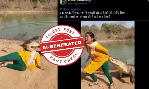 ఫ్యాక్ట్ చెక్: ఓ మహిళను మొసలి నీటిలోకి లాక్కుని వెళుతున్న వీడియో నిజమైనది కాదు. అది ఏఐ ద్వారా సృష్టించారు