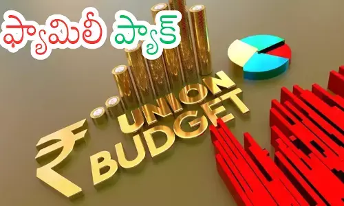 finance minister nirmala sitharaman will present the budget in the lok sabha on the 1st of next month finance minister nirmala sitharaman will present the budget in the lok sabha on the 1st of next month