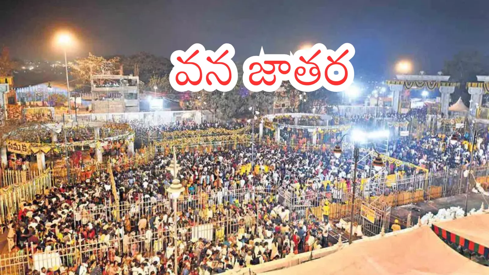 devotees flock to the largest tribal jathara medaram in telangana
