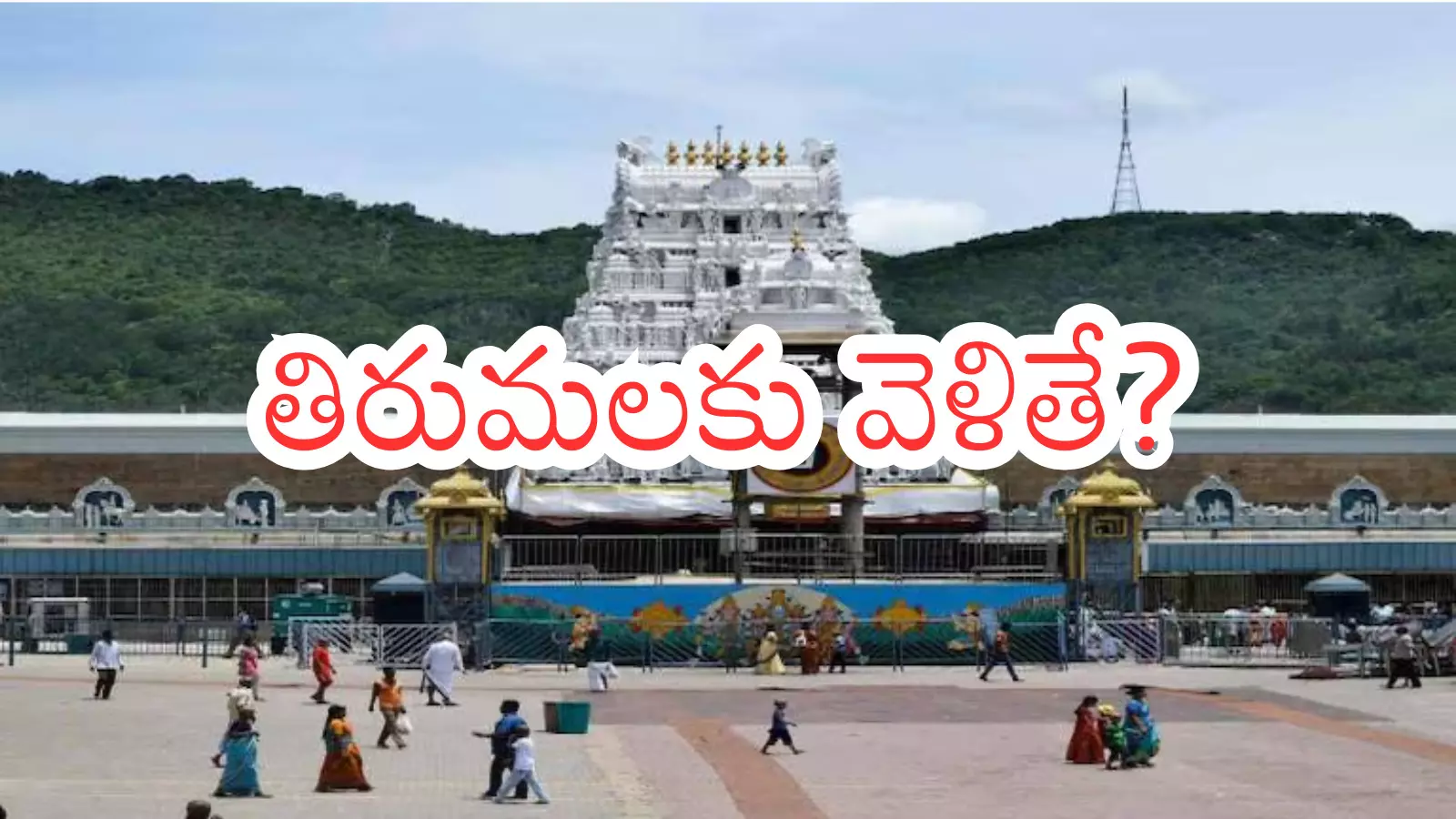 Tirumala : తిరుమలకు వెళ్లే వారు నేడు స్వామి వారిని సులువుగానే?