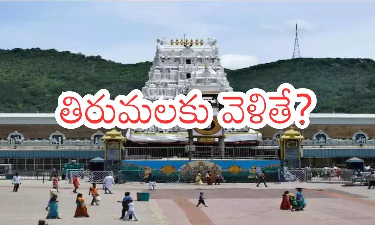 Tirumala : తిరుమలకు వెళ్లే వారు నేడు స్వామి వారిని సులువుగానే?