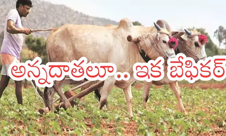 Andhra Pradesh : ఏపీ రైతులకు గుడ్ న్యూస్... ఇక వారి పంట పండినట్లే