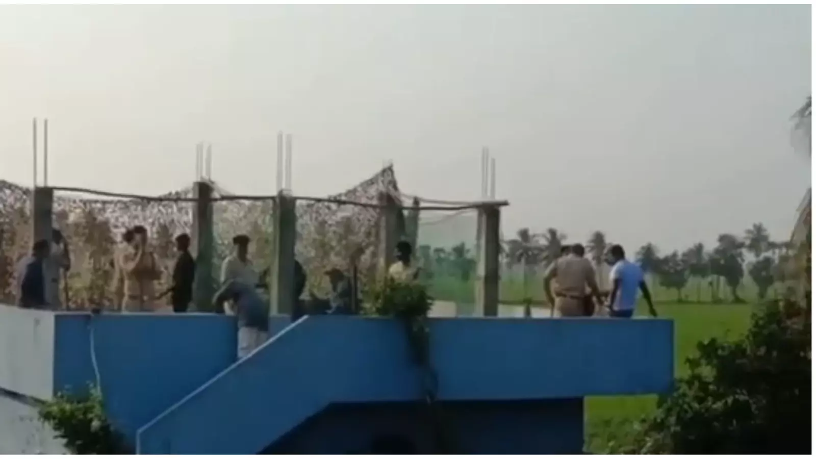 పాకలో దూరిన పులి...  ఎట్టకేలకు  బంధించిన అధికారులు