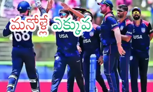 there are many players of indian origin in various teams in the T20 World Cup