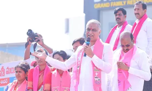 నేడు హరీశ్ రావు మున్సిపల్ ఎన్నికల ప్రచారం