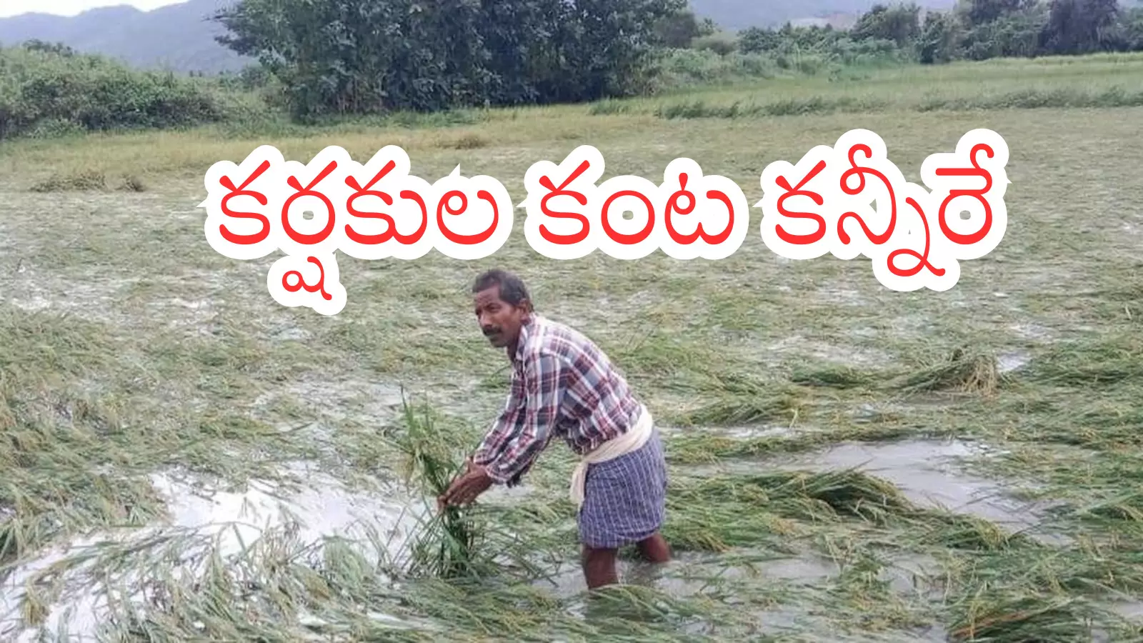 cyclone montha hit andhra pradesh in october last year