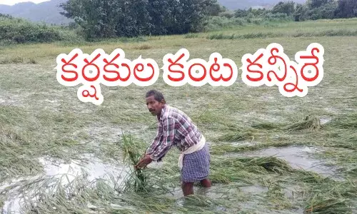 cyclone montha hit andhra pradesh in october last year