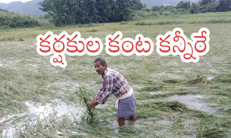 cyclone montha hit andhra pradesh in october last year