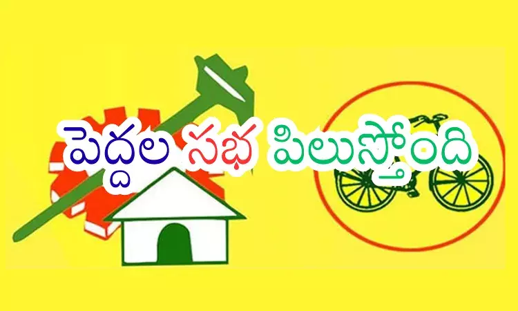 Andhra Pradesh Rajya Sabha seat amid TDP and Janasena alliance discussions.