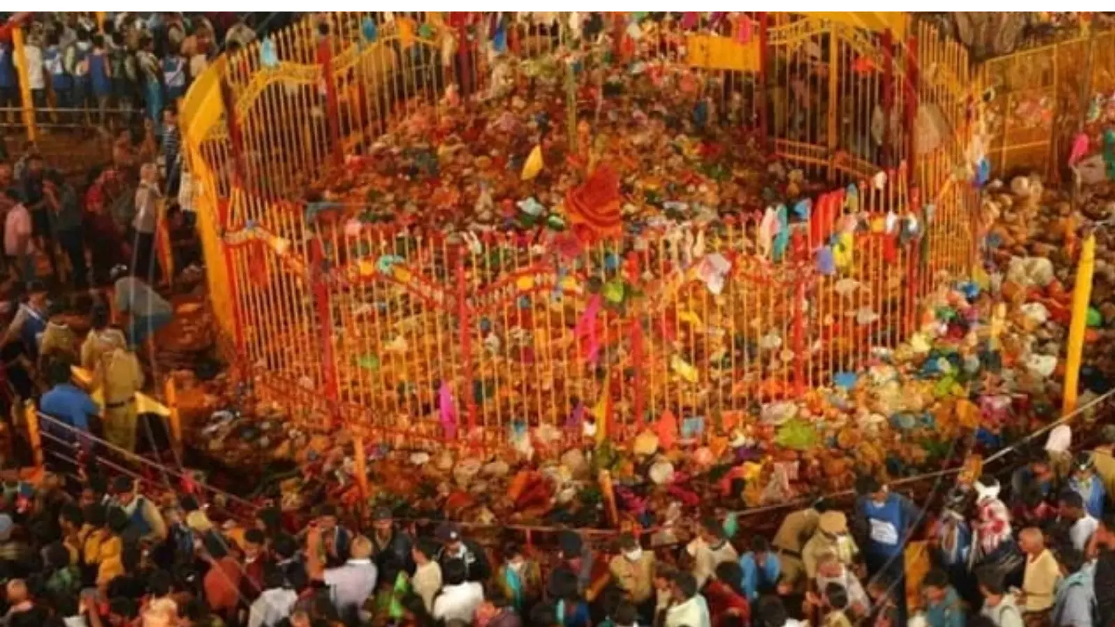 huge revenue generated during medaram jathara