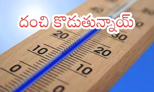 Weather Report : మరో మూడు నెలలు ఇక కష్టమే.. ఎండలు ముదిరాయి