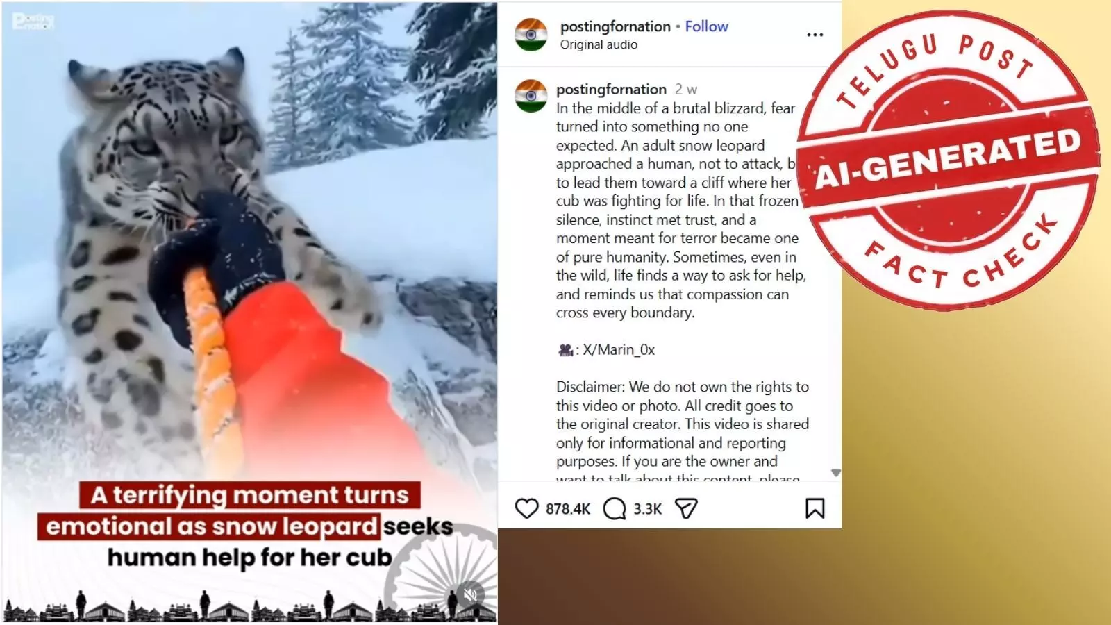 Viral Snow Leopard Seeking Human Help for Cub Video Is AI-Generated Viral Snow Leopard Seeking Human Help for Cub Video Is AI-Generated