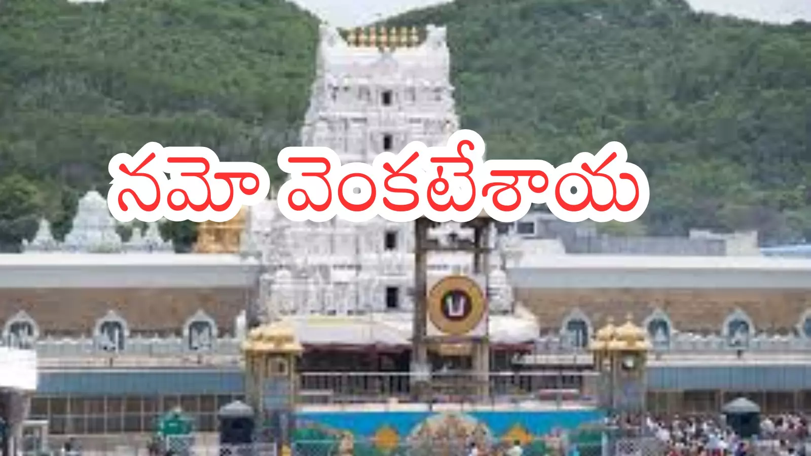Tirumala : నేడు తిరుమలకు వెళుతున్నారా.. దర్శనం ఎన్ని గంటలంటే? Tirumala : నేడు తిరుమలకు వెళుతున్నారా.. దర్శనం ఎన్ని గంటలంటే?