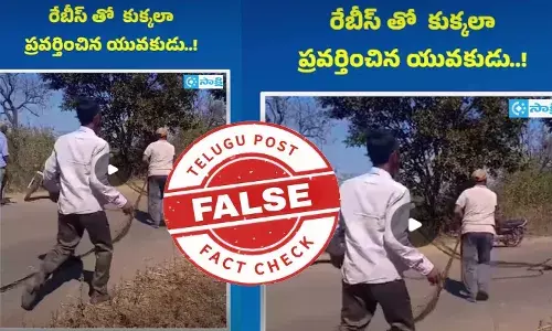 ఫ్యాక్ట్ చెక్: రేబీస్ కారణంగా కుక్కలా ప్రవర్తించిన యువకుడు అంటూ జరుగుతున్న ప్రచారంలో ఎలాంటి నిజం లేదు