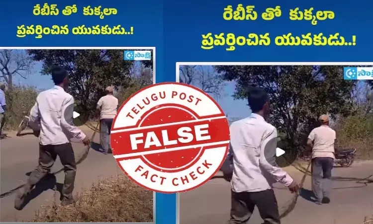 ఫ్యాక్ట్ చెక్: రేబీస్ కారణంగా కుక్కలా ప్రవర్తించిన యువకుడు అంటూ జరుగుతున్న ప్రచారంలో ఎలాంటి నిజం లేదు ఫ్యాక్ట్ చెక్: రేబీస్ కారణంగా కుక్కలా ప్రవర్తించిన యువకుడు అంటూ జరుగుతున్న ప్రచారంలో ఎలాంటి నిజం లేదు