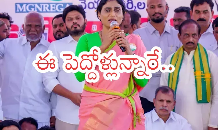 YS Sharmila struggles as AP Congress senior leaders stay away YS Sharmila struggles as AP Congress senior leaders stay away