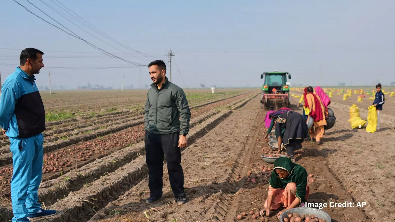 AI-powered tractor harvesting potatoes in Karnal farm(Photo source: AP)