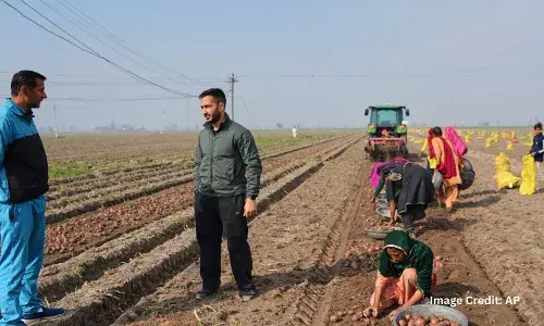 AI-powered tractor harvesting potatoes in Karnal farm(Photo source: AP)