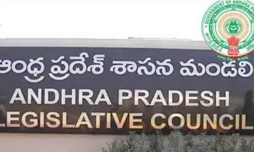 andhra pradesh council meetings have been postponed for a while