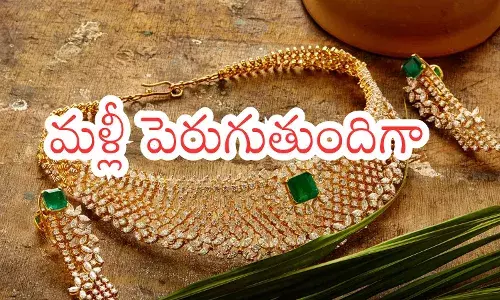 gold prices increased in the country today. silver prices fell slightly gold prices increased in the country today. silver prices fell slightly