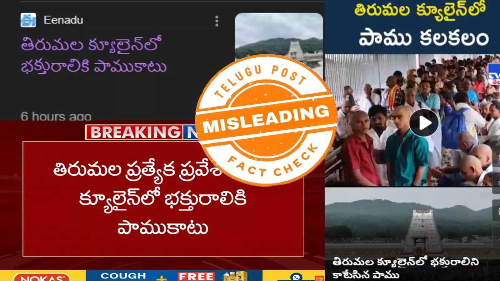 ఫ్యాక్ట్ చెక్: తిరుమల క్యూలైన్ లో భక్తురాలికి పాముకాటు అంటూ జరుగుతున్న ప్రచారంలో నిజం లేదన్న టీటీడీ
