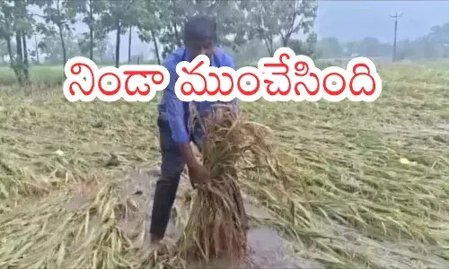 farmers suffer heavy losses due to unseasonal rains in telangana