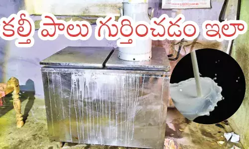 glass of milk being tested with a pH strip to detect adulterated milk at home. glass of milk being tested with a pH strip to detect adulterated milk at home.