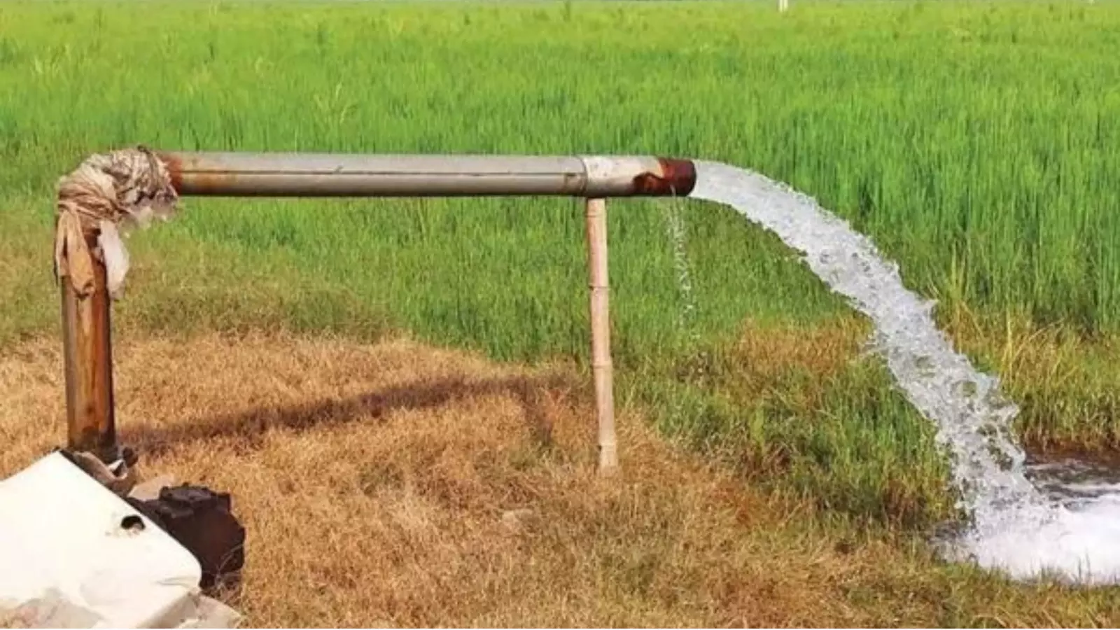 Andhra Pradesh : ఆంధ్రప్రదేశ్ ప్రభుత్వం రైతులకు గుడ్ న్యూస్