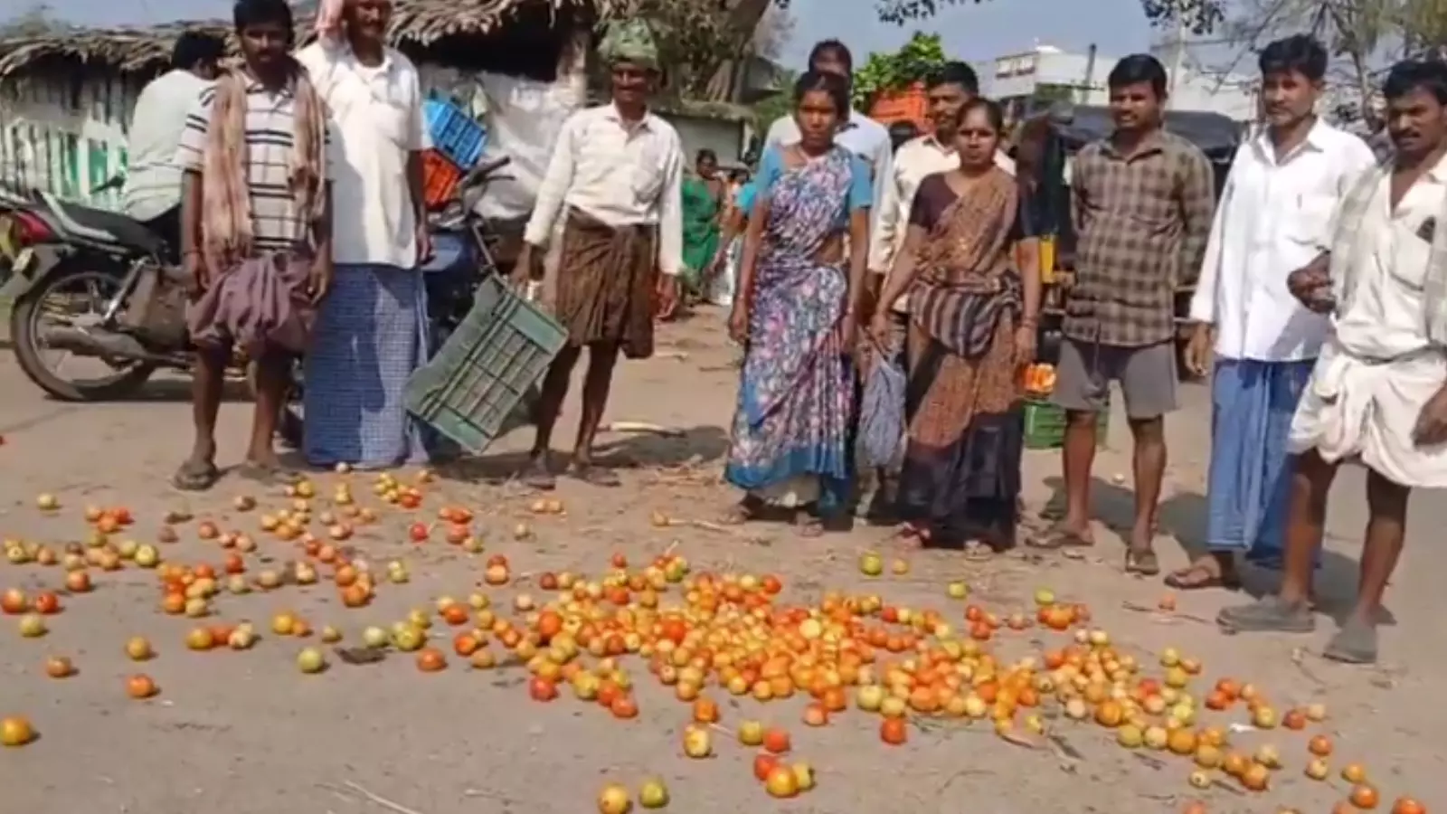 రోడ్డున పడిన టమాటా