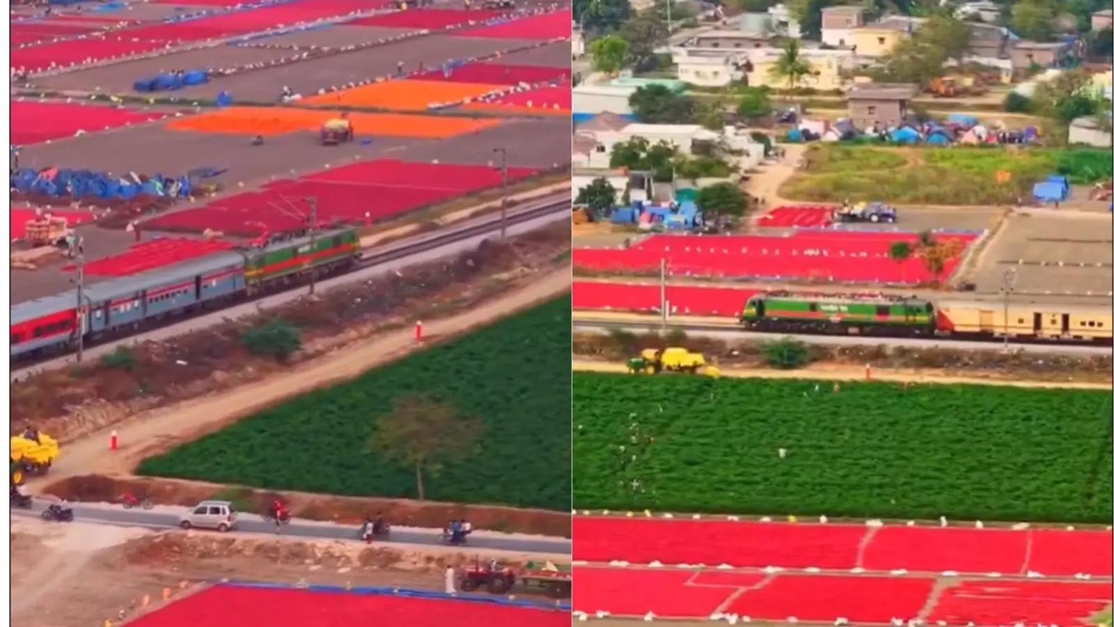 Aerial view of red chillies spread across fields for drying in Guntur district