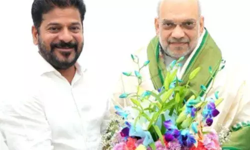 telangana chief minister revanth reddy met home minister amit shah
