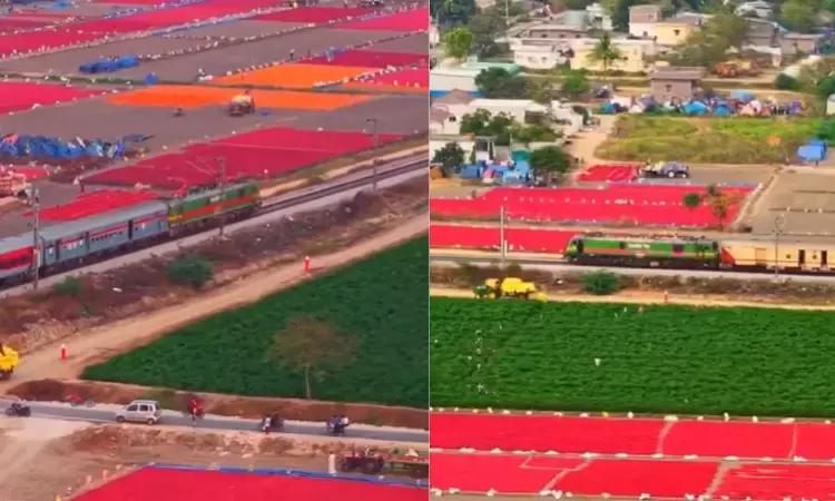 Aerial view of red chillies spread across fields for drying in Guntur district