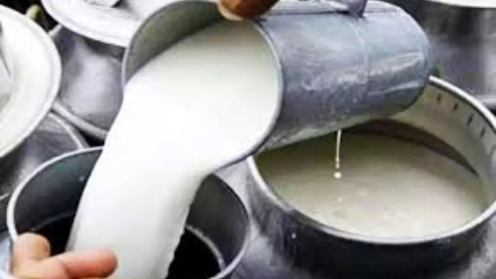 death toll rises in rajahmundry adulterated milk incident