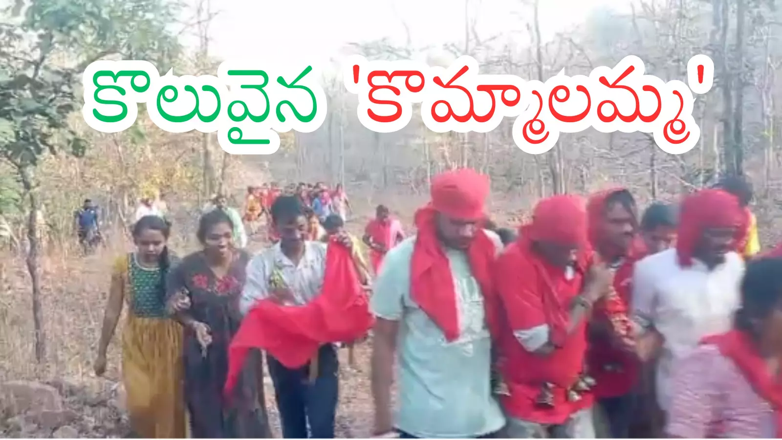 Telangana :Telangana : మహబూబాబాదం జిల్లాలో గిరిజన జాతర కోలాహలం