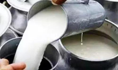 death toll rises in rajahmundry adulterated milk incident