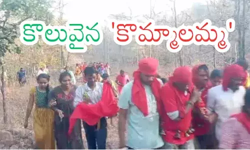 Devotees worship the sacred sword of Kommalaamma during the tribal jatara in Encuguda village, Mahabubabad district.