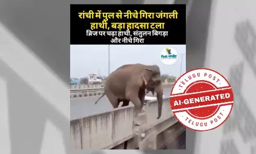 ଫ୍ୟାକ୍ଟ ଚେକ୍ : ରାଞ୍ଚିରେ ଓଭର ବ୍ରିଜ ଉପରୁ ତଳକୁ ହାତୀ ପଡ଼ିବା ଭିଡିଓଟି ଏଆଇ ଦ୍ୱାରା ନିର୍ମିତ