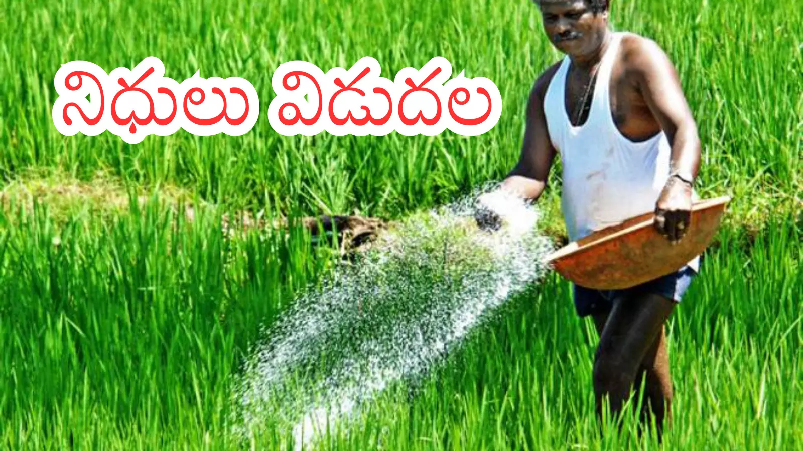 Telangana government releases ₹171 crore for maize farmers pending payments
