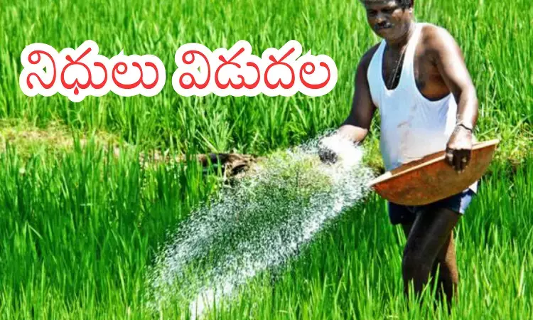 Telangana government releases ₹171 crore for maize farmers pending payments
