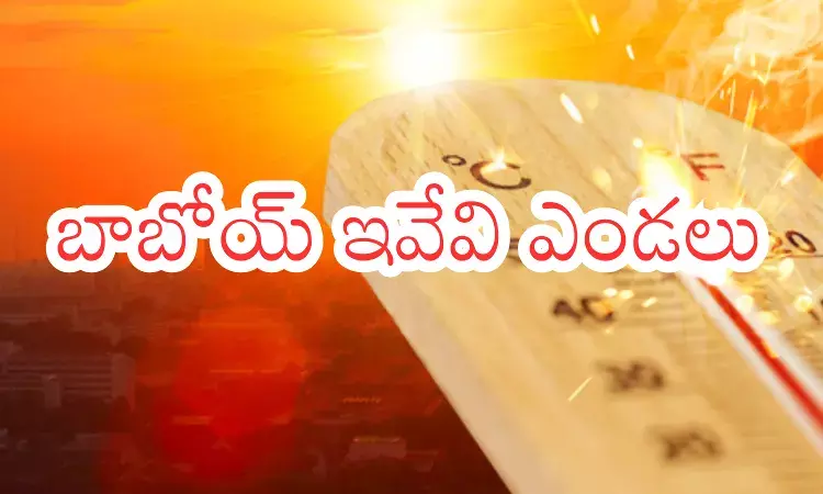 Summer Effect : మార్చిలోనే ముదిరిన ఎండలు..  ఏప్రిల్‌, మే నెలల్లో తీవ్రతరం