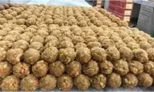 single-member commission begun an investigation into the tirumala laddu adulteration case