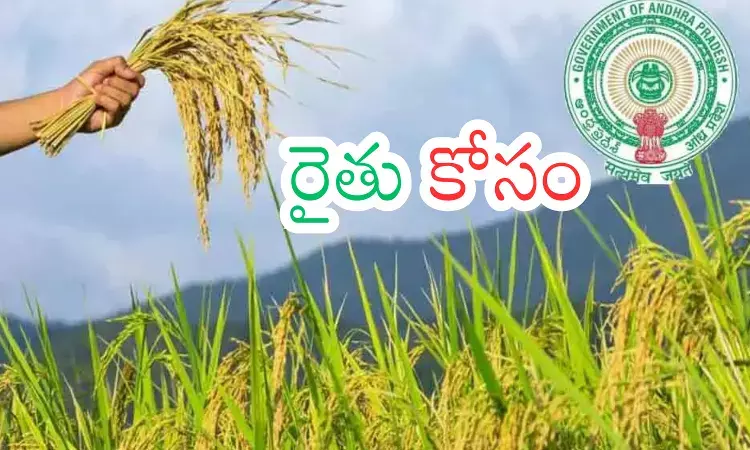 Andhra Pradesh : రైతులకు గుడ్ న్యూస్...రేపు బ్యాంకు ఖాతాల్లో నగదు జమ