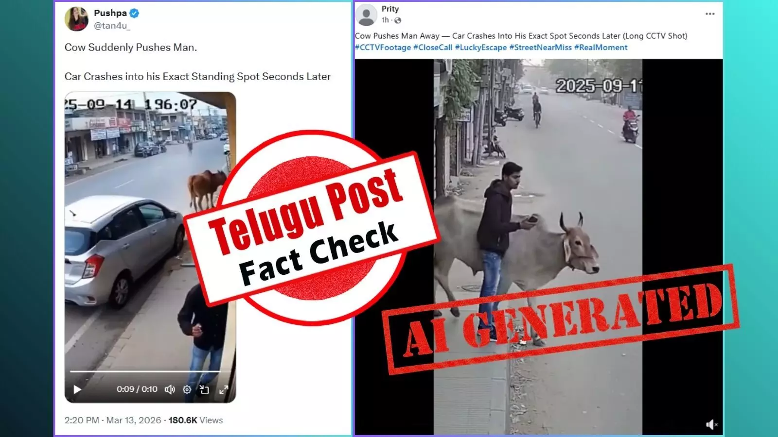 Screenshot of viral video claiming a cow pushed a man away just before a car crash – cow pushes man fact check