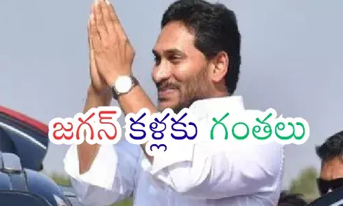 YSRCP leaders raising concerns over election chances a Reddy influence in Andhra Pradesh politics.