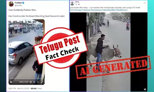 Screenshot of viral video claiming a cow pushed a man away just before a car crash – cow pushes man fact check